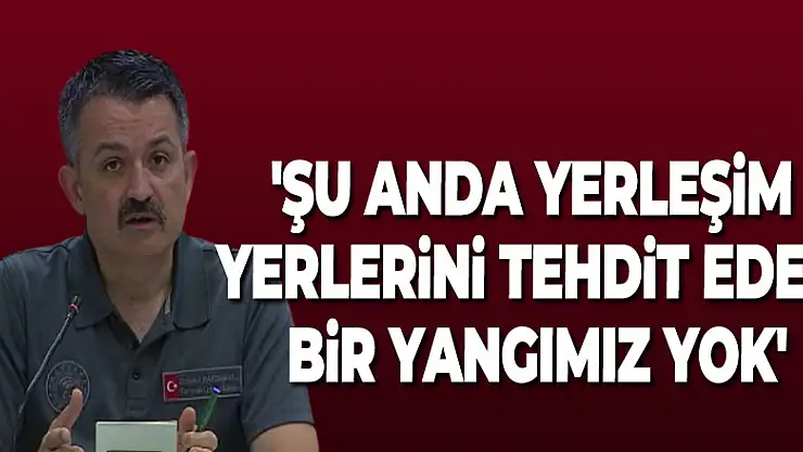 Bakan Pakdemirli: 'Şu anda yerleşim yerlerini tehdit eden bir yangımız yok'