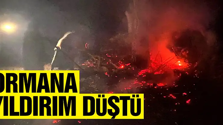 Ormana yıldırım düştü