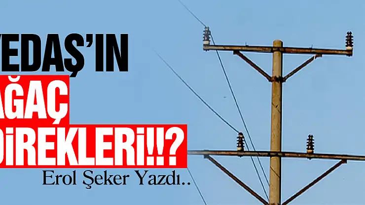 YEDAŞ'IN AĞAÇ DİREKLERİ!!?