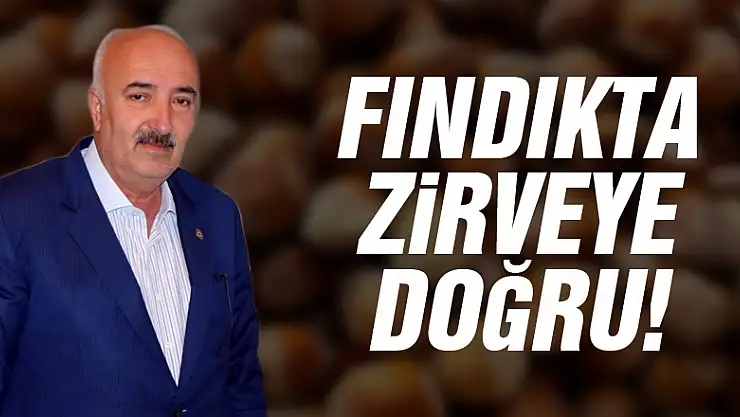 Fındıkta zirveye doğru!
