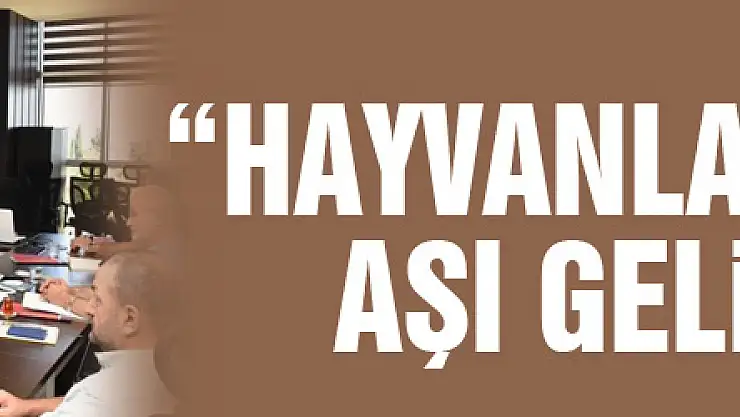 Prof. Dr. Çiftci: 'Büyükbaş hayvanlar ve balıklara yönelik aşılar geliştirdik'