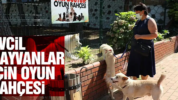 Evcil hayvanlar için 'Can Dostum' oyun bahçesi