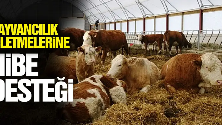 Samsun'da hayvancılık işletmelerine 1,7 milyon TL hibe desteği