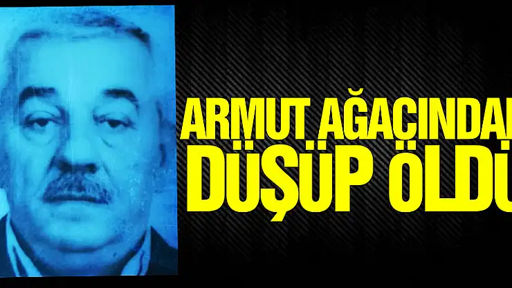 Armut ağacından düşüp öldü