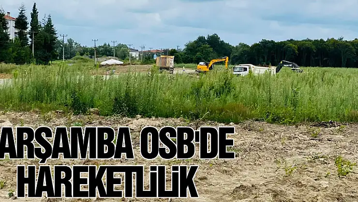 ÇARŞAMBA OSB'DE HAREKETLİLİK