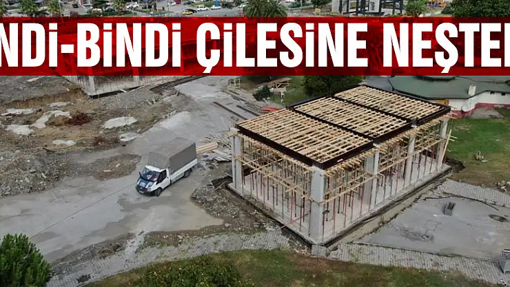 İndi-bindi çilesine neşter