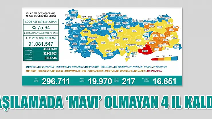 Karadeniz'de aşılamada 'mavi' olmayan 4 il kaldı 