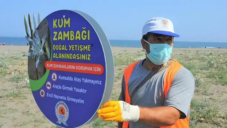 'Kum zambakları' koruma altında