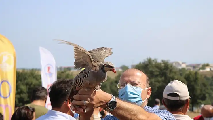 OMÜ'de kampüse keklik ve sülün salındı