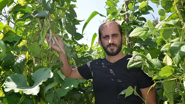 Bu fasulye Türkiye'de tek