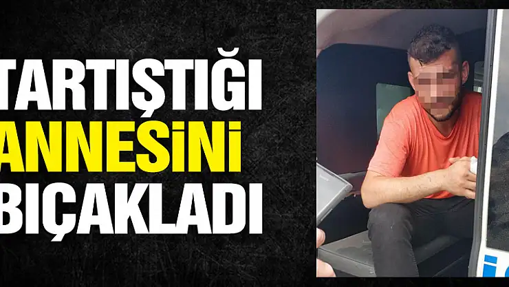 Tartıştığı annesini bıçakladı