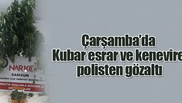 Kubar esrar ve kenevire polisten gözaltı