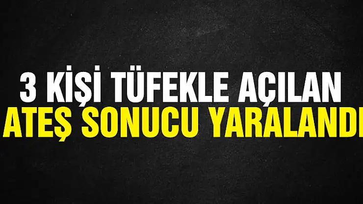3 kişi tüfekle açılan ateş sonucu yaralandı