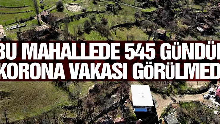 Bu mahallede 545 gündür korona vakası görülmedi