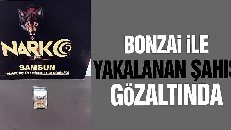 Bonzai ile yakalanan şahıs gözaltında