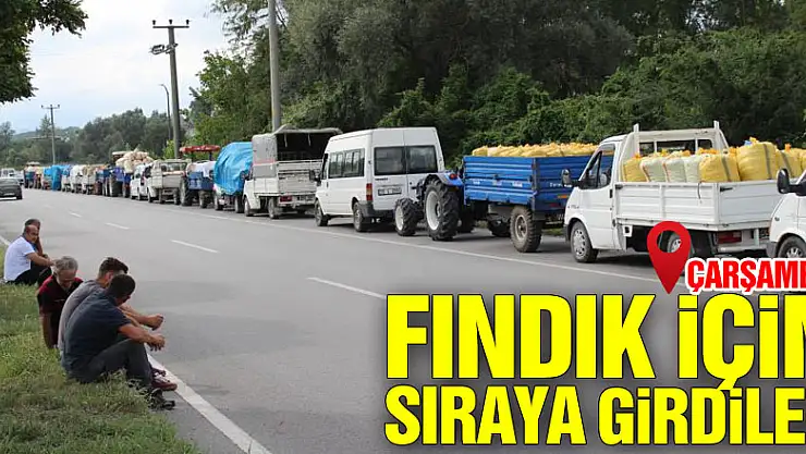 Fındık için sıraya girdiler