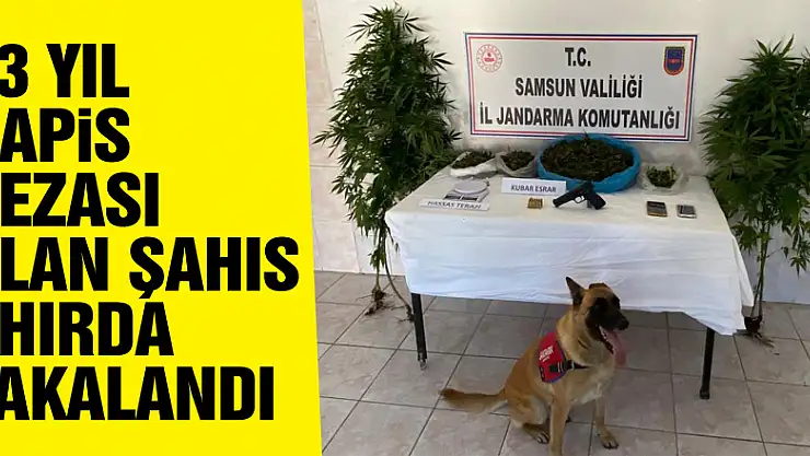 23 yıl 7 ay hapis cezası bulunan şahıs ahırda yakalandı