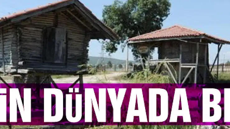 Bu müzenin dünyada benzeri yok