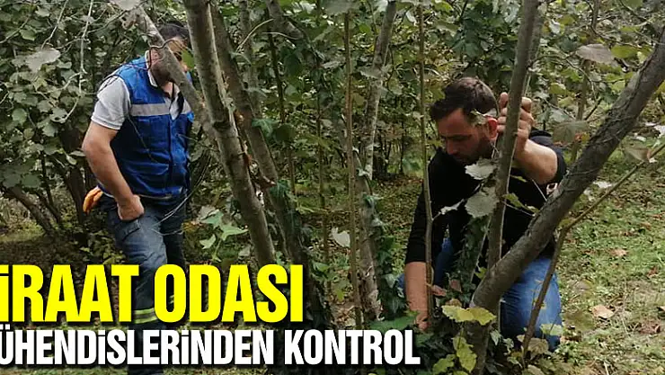 ZİRAAT ODASI MÜHENDİSLERİNDEN KONTROL