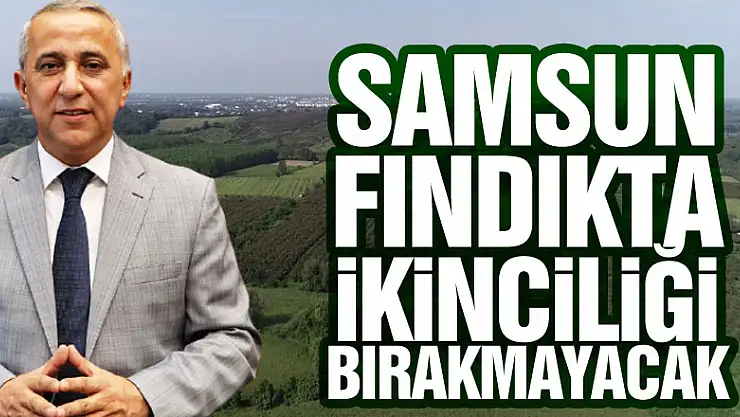 Samsun fındıkta ikinciliği bırakmayacak