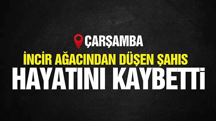 İncir ağacından düşen şahıs hayatını kaybetti