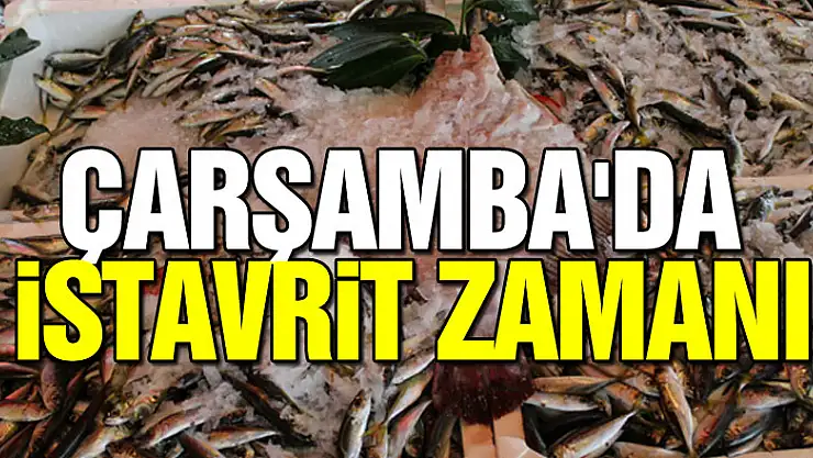 ÇARŞAMBA'DA İSTAVRİT ZAMANI