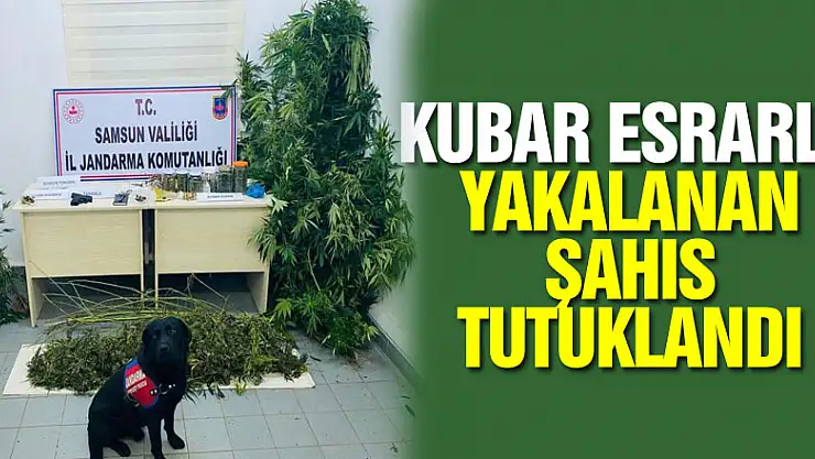 Kubar esrarla yakalanan şahıs tutuklandı