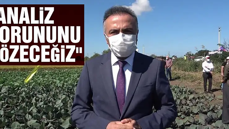 Daire Başkanı Dilber: 'Analiz sorununu çözeceğiz'