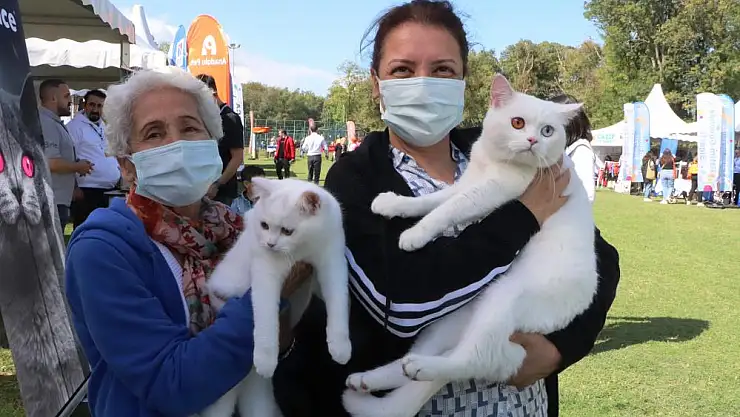 Birbirinden sevimli hayvanlar festivalin gözdesi oldu