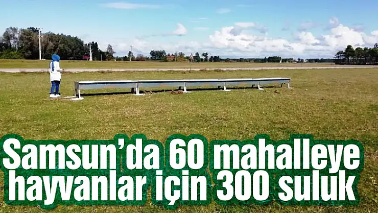 Samsun'da 60 mahalleye hayvanlar için 300 suluk