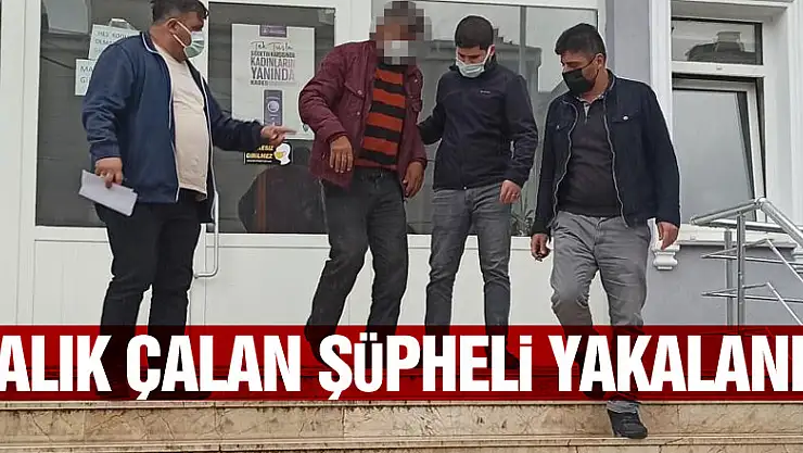 Balıkçıdan 35 kilo balık çalan şüpheli yakalandı