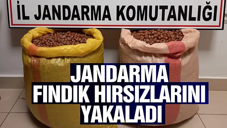 Jandarma fındık hırsızlarını yakaladı