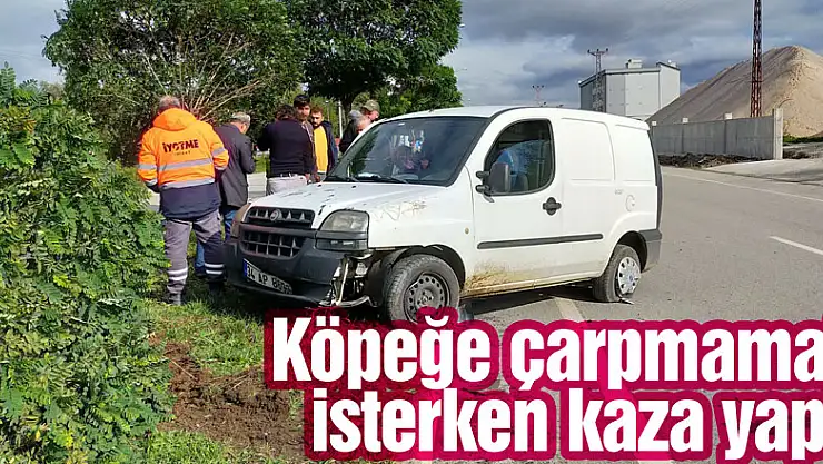 Köpeğe çarpmamak isterken kaza yaptı