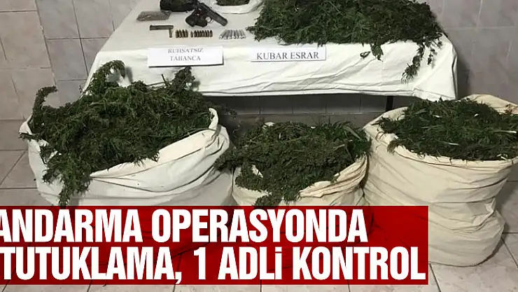Jandarma operasyonda 1 tutuklama, 1 adli kontrol