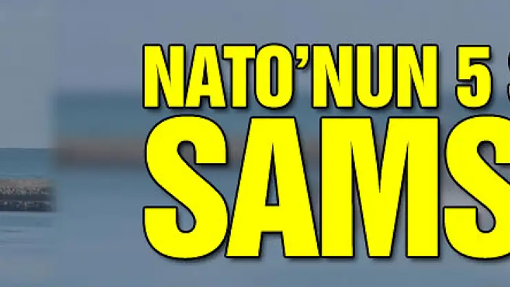 NATO'nun 5 savaş gemisi Samsun'da