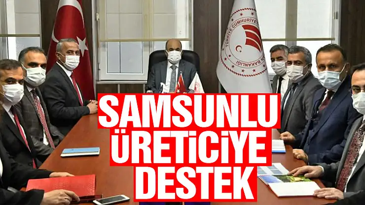 Samsunlu üreticiye 18 yılda 2,6 milyar TL'lik destek