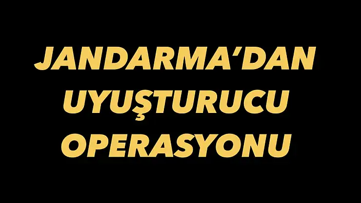 Jandarma'dan uyuşturucu operasyonu