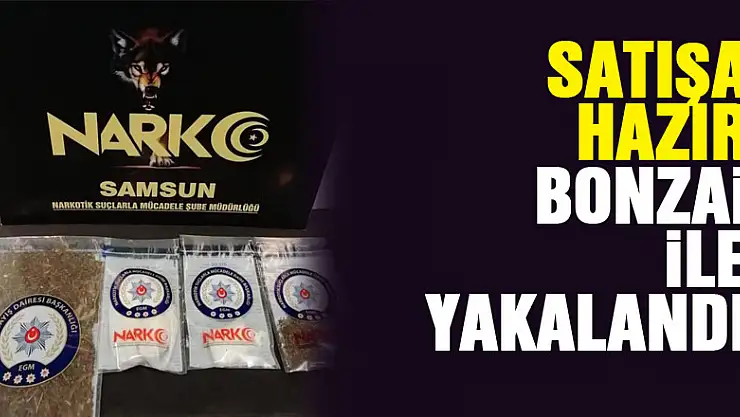 Samsun'da satışa hazır bonzai ile yakalanan bir kişi gözaltına alındı