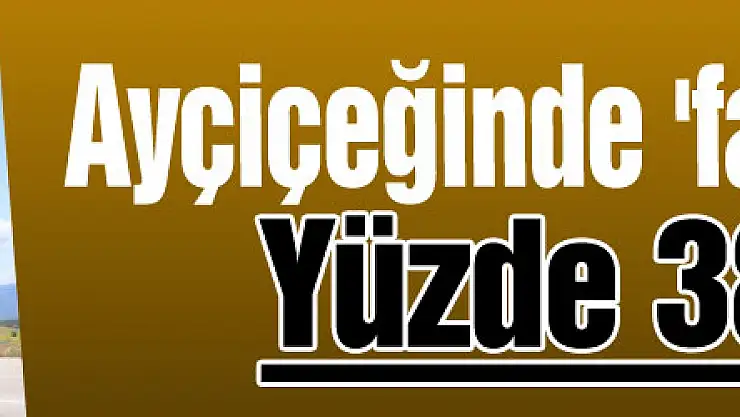 Ayçiçeğinde 'fark' ödemesi: Yüzde 38'lik artış