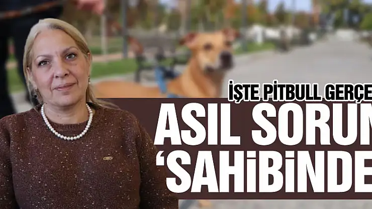 İşte pitbull gerçeği: Asıl sorun 'sahibinde'