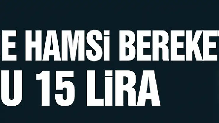 Karadeniz'de hamsi bereketi : Kilosu 15 lira