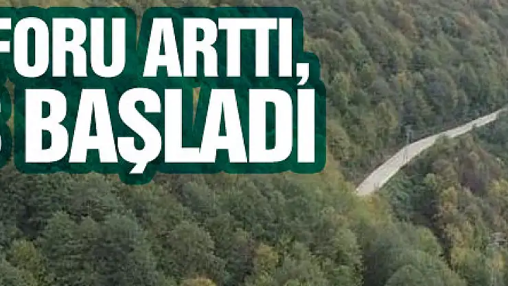 Yolların konforu arttı, köye dönüş başladı