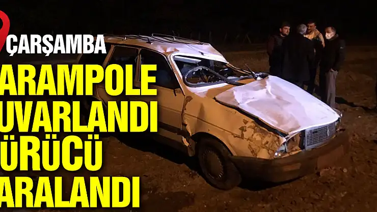 Samsun'da şarampole devrilen otomobilin sürücüsü yaralandı