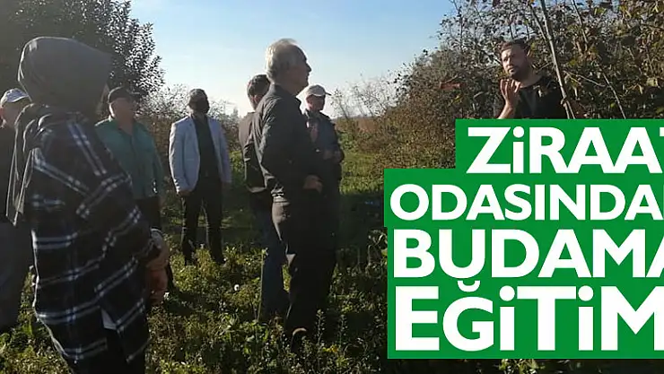 ZİRAAT ODASINDAN BUDAMA EĞİTİMİ