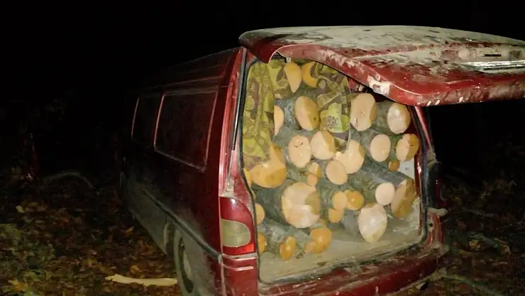 Minibüste 2 ton kaçak odun ele geçirildi