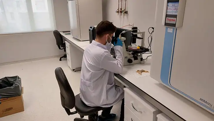 OMÜ'de ilk defa bir önlisans öğrencisinin projesi TUBİTAK'tan destek aldı