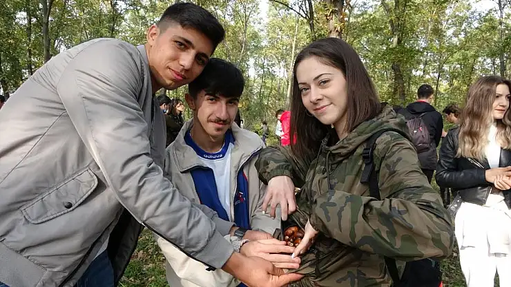 Üniversite öğrencileri meşe palamudu topladı
