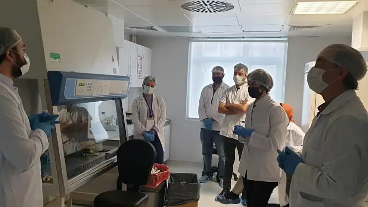 OMÜ'de kök hücre temel uygulama eğitimi