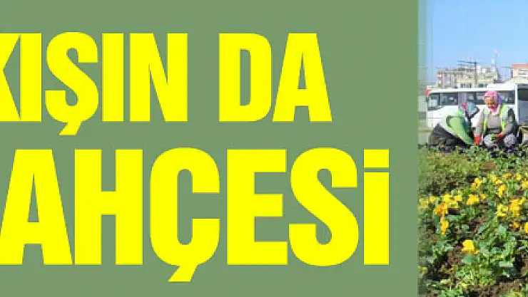 Samsun kışın da çiçek bahçesi