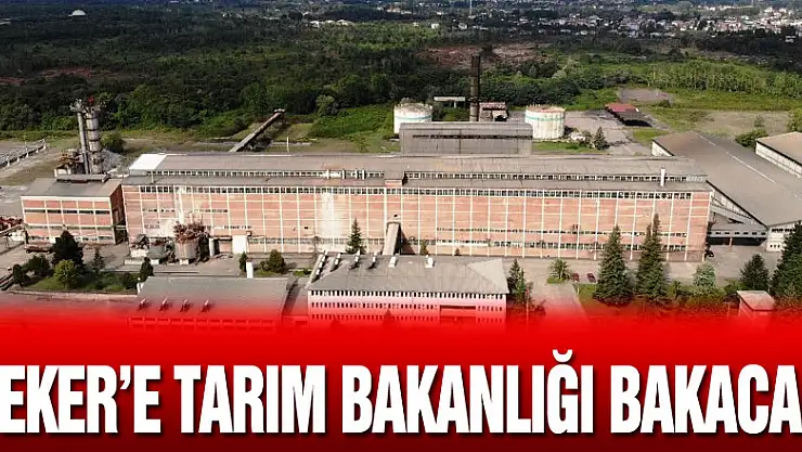 'Şeker'e Tarım Bakanlığı bakacak!